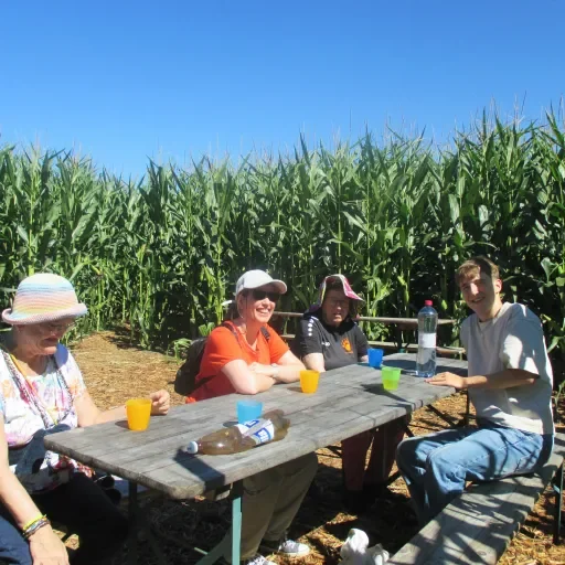 Picknick im Maislabyrinth